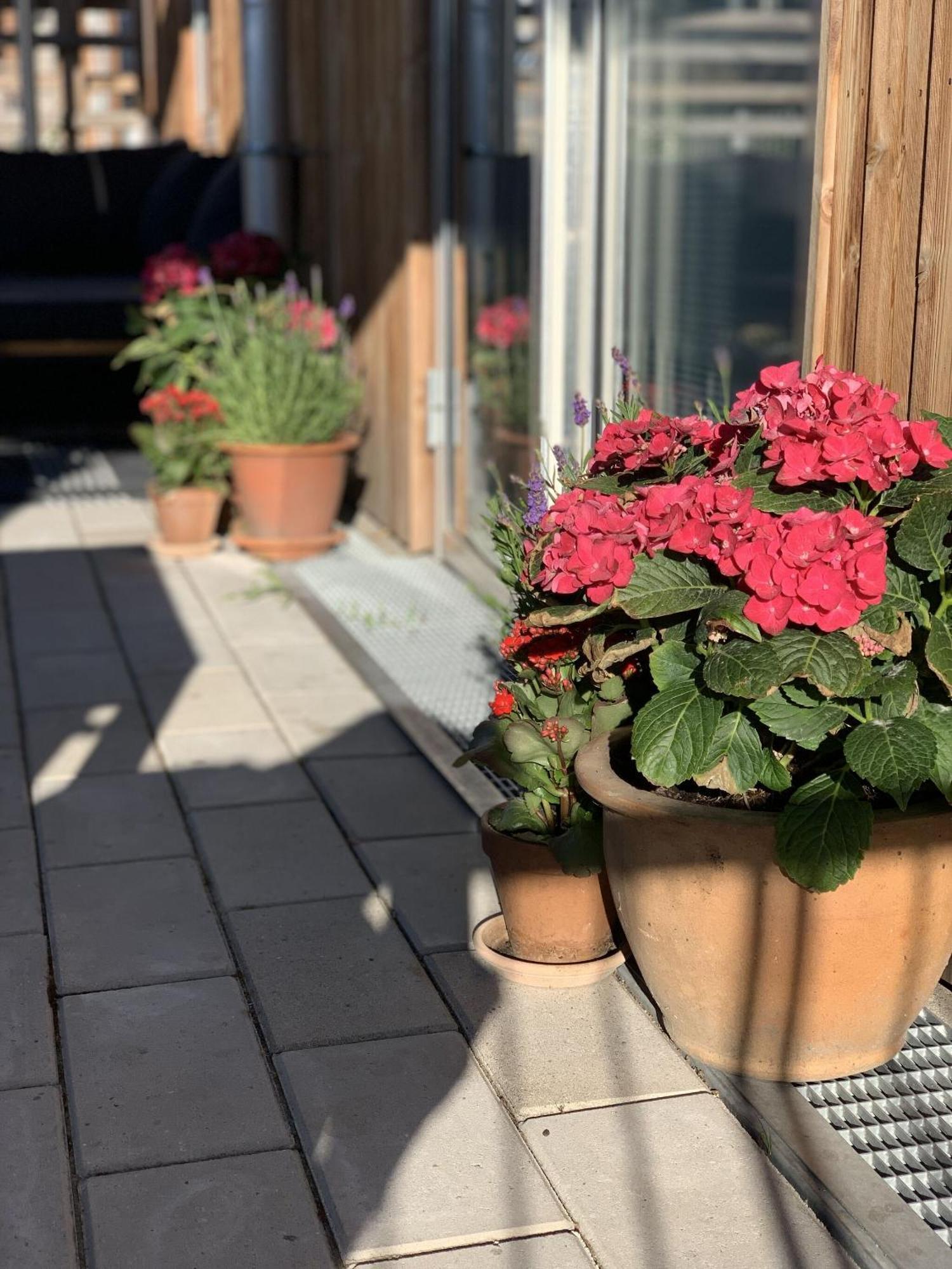 Apartmentincopenhagen 1460 København